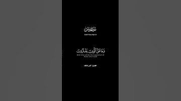 سورة يونس الآية 58 #انس_المالك #قرآن #quran #القرآن #احاديث #تلاوات #اذكار #القران #القران_الكريم