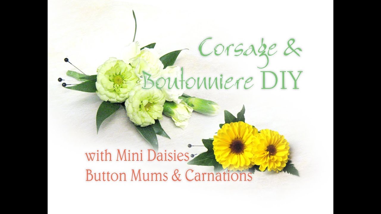Boutonniere / Corsage DIY with Button Mum Daisies / Mini Carnations Water Deep