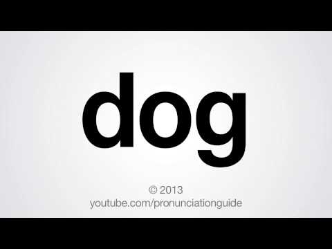 how-to-pronounce-dog