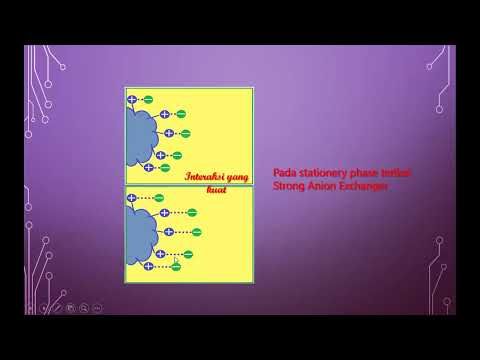 Video: Dalam kromatografi pertukaran ion?