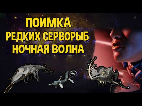 WARFRAME ЗАДАНИЕ НОЧНОЙ