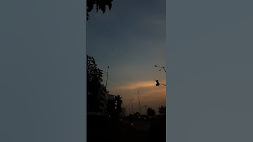 قراءة خاشعة لعلي جابر سورة لقمان #القرآن_الكريم #علي_جابر #سورة_لقمان
