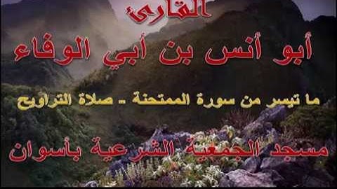 أبو أنس بن أبي الوفاء - سورة الممتحنة - رمضان 1435