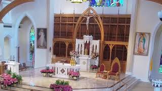6th Sunday of Easter, 10:00 Mass,  May 10,  2026