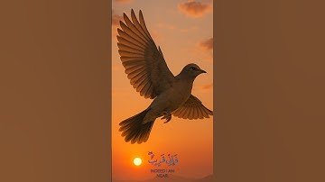 تلاوة هادئة لآيات من القرآن الكريم #تلاوة_خاشعة #قران_كريم #المصحف #القرآن الكريم راحة نفسية
