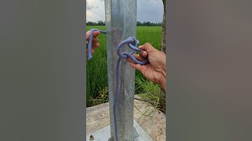 Incredible bowline Knot Tutorial #knots #knottutorial #ropes