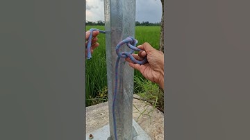 Incredible bowline Knot Tutorial #knots #knottutorial #ropes