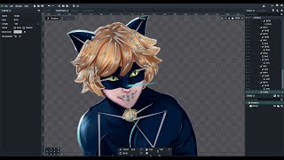 DragonBones Cat Noir Speed Animated Illustration Ladybag