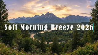 Soft Morning Breeze 2026 🌿 [Chill Lo-Fi Hip Hop Beats] screenshot 5