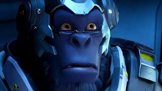 The Real Overwatch 2 Experience