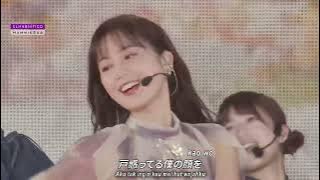 elm48nifico HammieSub Wotasubs Nogizaka46 10 TAHUN ULANG TAHUN LIVE