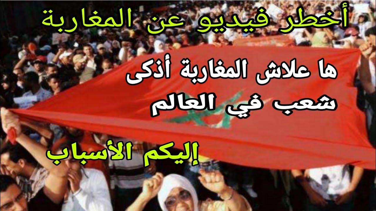 هاعلاش المغاربة أذكى شعب في العالم إليكم الأسباب أخطر فيديو عن الشعب المغرب نار يا حبيبي نار 🔥🇲🇦