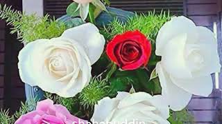 Mere rashke qamar
