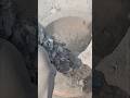 Black mud dry crumbling #asmr #satisfying #oddlysatisfying #relaxing