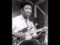 Muddy Waters - After Hours