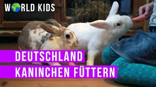 Kaninchen füttern | Köln | Deutschland | WorldKids.tv