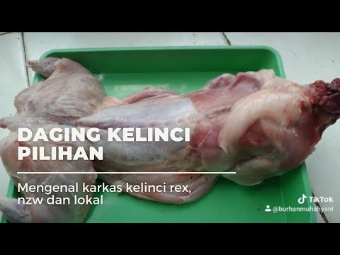 Video: Apa daging kelinci terbaik?