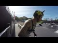 GoPro Course Preview -  BMX Logan Martin - FISE World Montpellier 2016