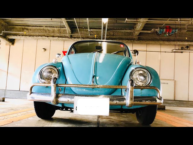 空冷ビートル1972年式で普段乗りドライブ エンジン音最高！Volkswagen