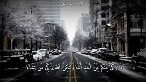 القارئ الشيخ ماهر المعيقلي || حالات واتس اب قرآن كريم ❤