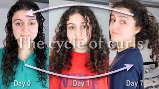 The Cycle Of Curly Hair 7 Days Of Curls Senaluna
