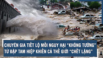 CHUYÊN GIA TIẾT LỘ MỐI NGUY HẠI “KHÔNG TƯỞNG” TỪ ĐẬP TAM HIỆP KHIẾN CẢ THẾ GIỚI “CHẾT LẶNG” | VTs