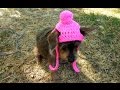 How to Crochet a Small Dog/Cat Beanie