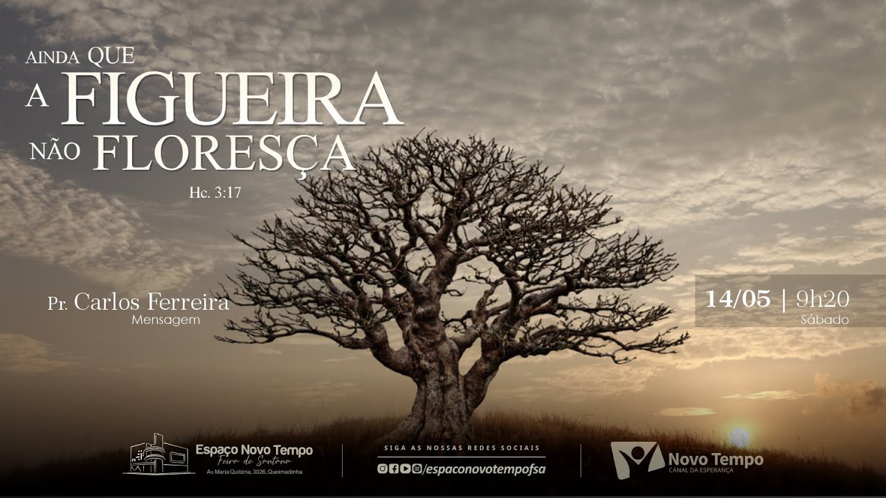 Quero Te Adorar Ainda Que A Figueira Não Floresça Letra - RETOEDU