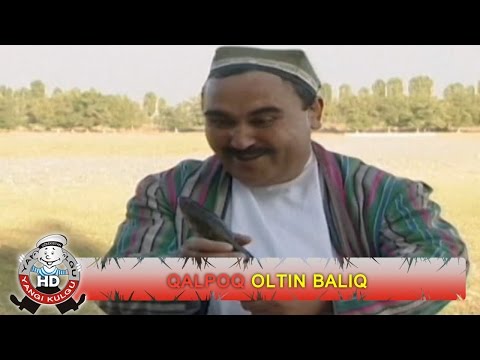 Video: Oltin Baliq Ularning Tashkilotida Yaxshimi?