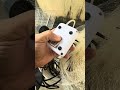 Bomba de Oxigênio  Portátil Recarregável USB - C Oxigenador de emergencia para Aquários e Pescarias