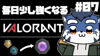 【valorant】楽しかった出来事を消し去るように【あおねぐぅず】