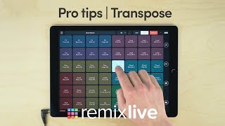 Transpose | Remixlive Pro tips