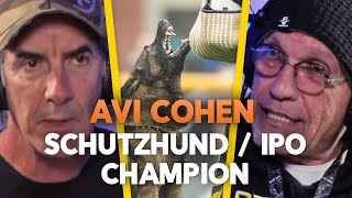 Avi Cohen Schutzhund IPO Champion  Training and Competing in IPO  EP.75