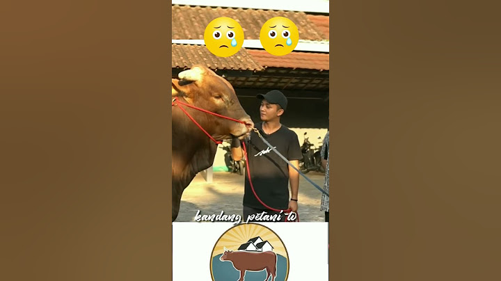 pesan mas Hermawan untuk wariso sebelum menuju ke kediaman AA Irfan #irfanhakim #setiafarm #qurban