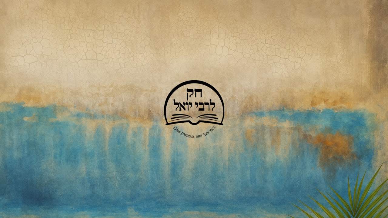 CHOK LREB YOEL LIVE