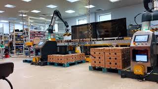 Heavy Duty Palletizer | Collaborative Robots | PalletizHD