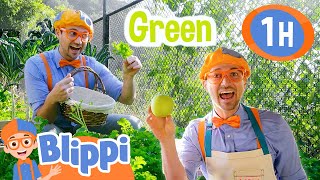 blippi learns colors with fruits and vegetables healthy snacks educational videos for kids