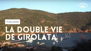 La double vie de Girolata - Thalassa