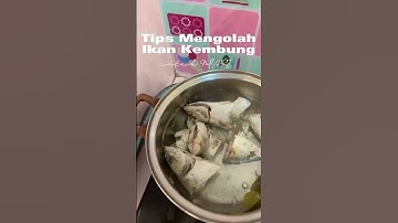 Thumbnail of Tips Mengolah Ikan Kembung untuk Mpasi Homemade🐟