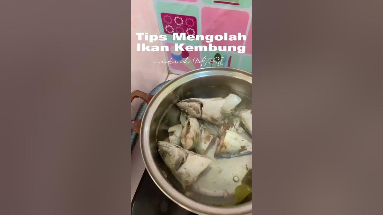 Tips Mengolah Ikan Kembung untuk Mpasi Homemade🐟