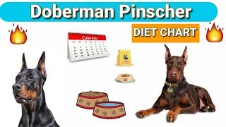 best dog food for doberman puppy 2018