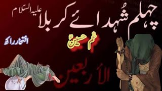 History of arbaeen |Najaf to karbala walk | chehlum imam hussain kya ha?| اربعین امام حسیؑن |چہلم