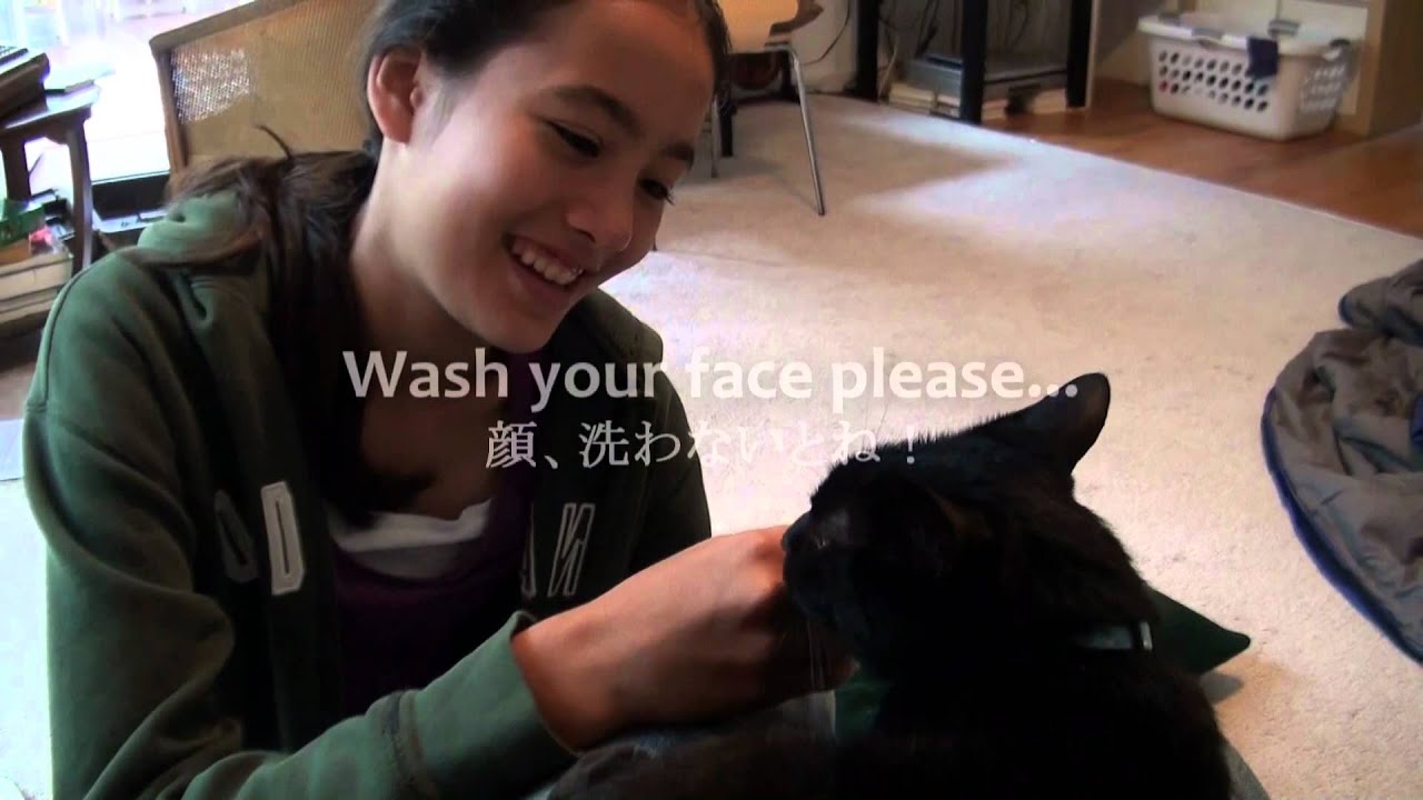 人の顔を舐めるのが好きな猫 The Cat Likes To Lick My Face Youtube 人の顔を舐めるのが好きな猫 The Cat Likes To Lick My Face Youtube