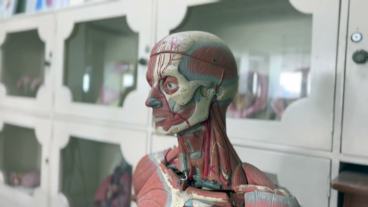 LDCU COLLEGE OF RADIOLOGIC TECHNOLOGY PROMOTIONAL VIDEO 2022