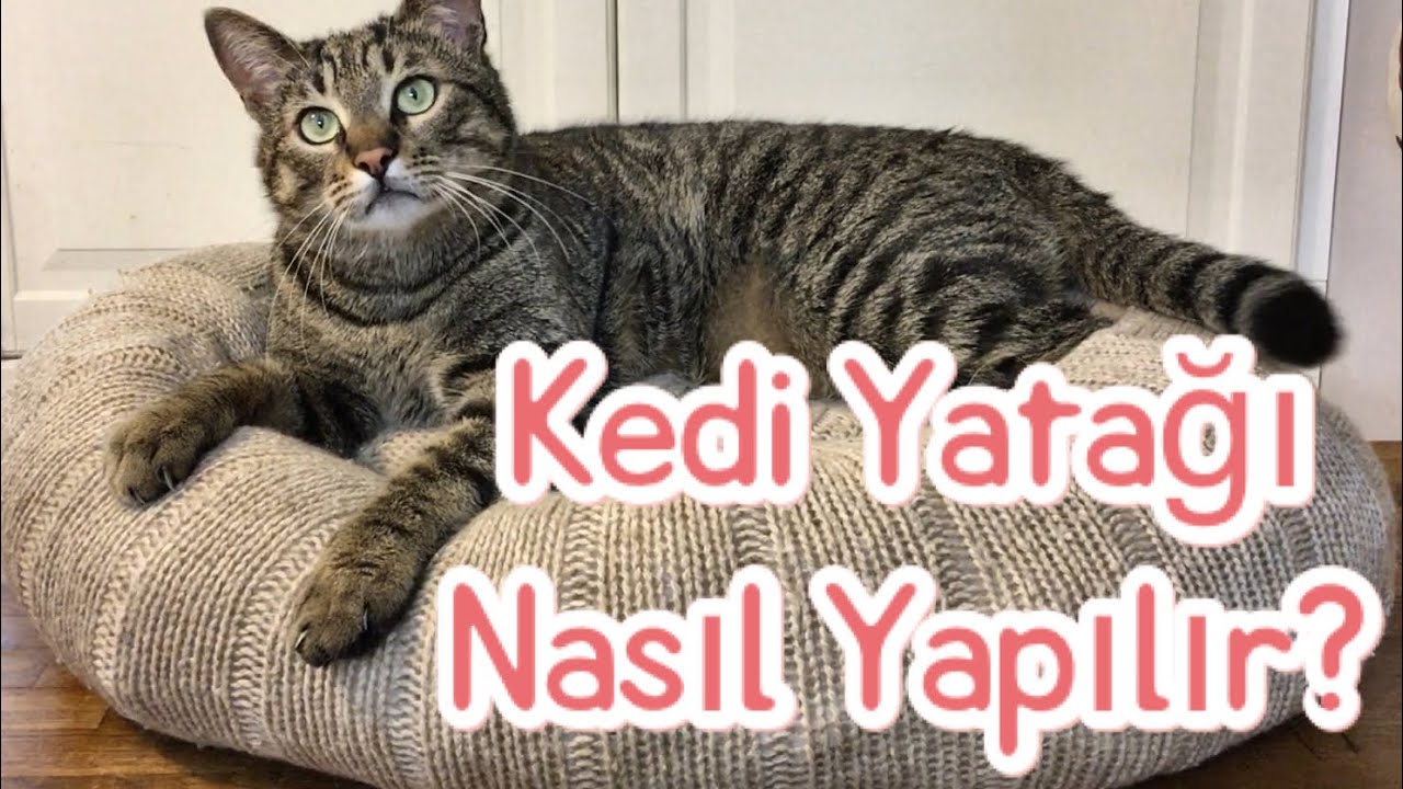 Kedi Yatağı Nasıl Yapılır