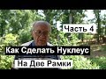 Пасека №125 Как построить нуклеус на две рамки Пчеловодство для начинающих