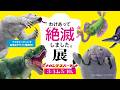 2026.3/14～5/10開催！「わけあって絶滅しました展。in ナガシマスパーランド」【SA】