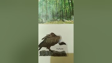 Project of Social Science-Natural Resources Jasmeen VIII-B