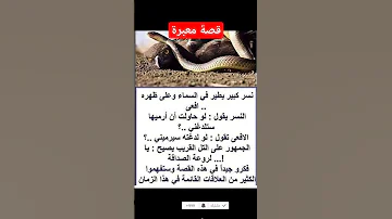 قصة معبرة نسر كبير يطير في السماء وعلى ظهره افعى النسر يقول لو حاولت أن أرميها ستلدغني الافعى تقول ل 