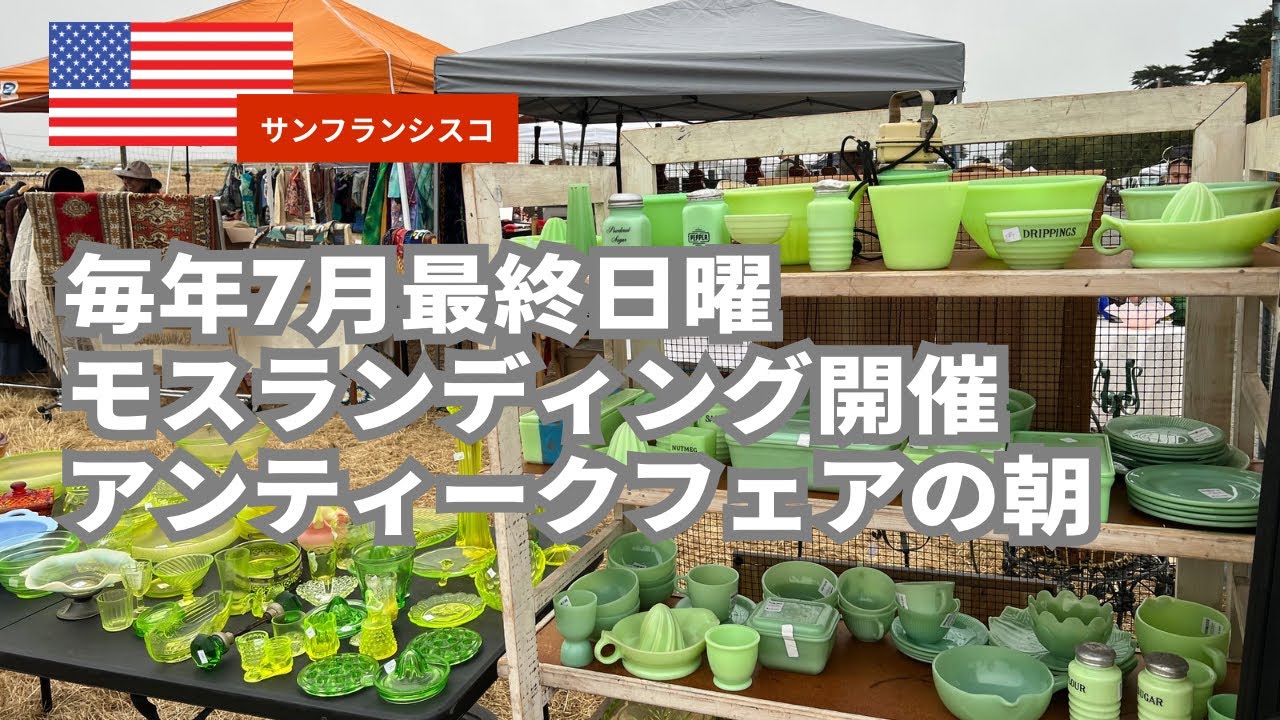 【vlog】年に一度のアンティークフェア｜漁港の町、モスランディング｜2025年7月